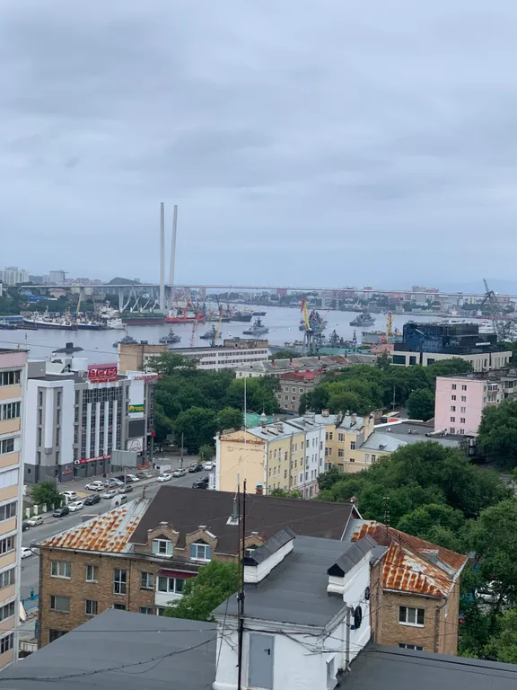 Квартира Квартира Уютная студия с шикарным видом в центре города — Владивосток