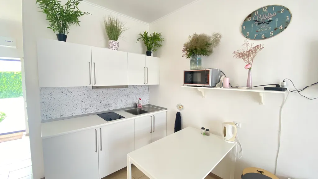 Апартаменты с видом на море Негрустинка