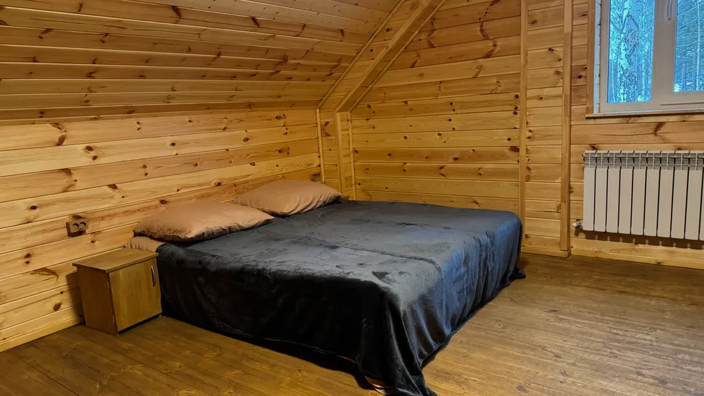 Дом Тихий Бор в березовом лесу