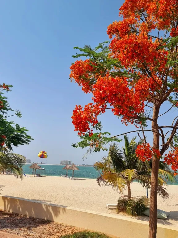 Апартаменты с частным пляжем и видом на сад на острове Марджан