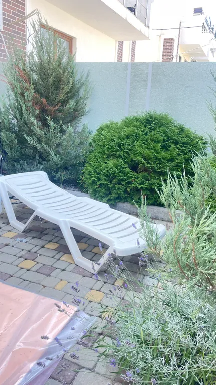 Дом для встречи 2026 года )