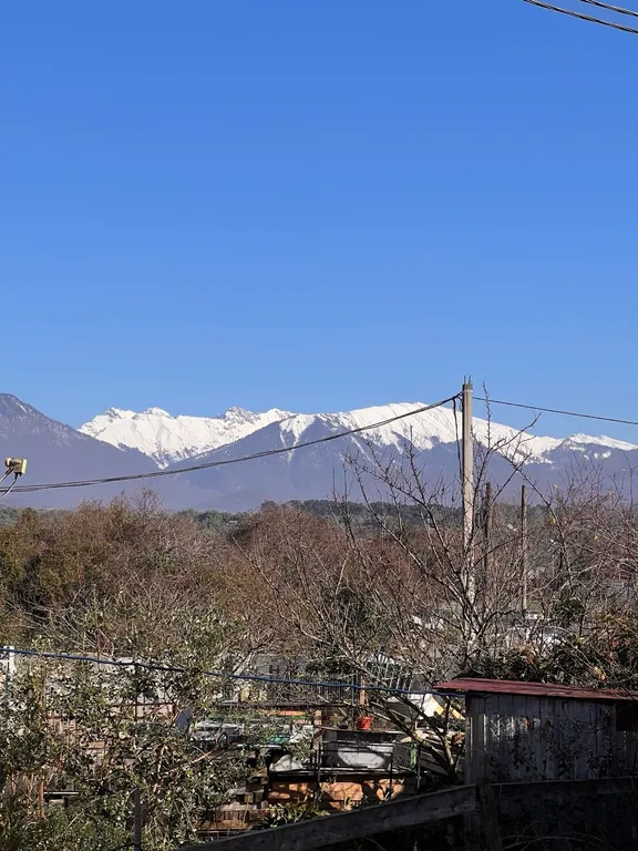 Квартира 1-комнатная Квартира — Сириус