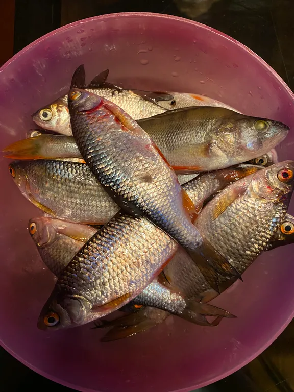 Коттедж Дом на берегу реки Волхов — Волхов