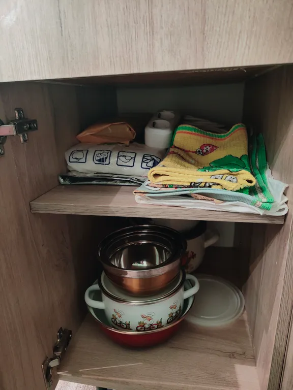 Студия в лесу