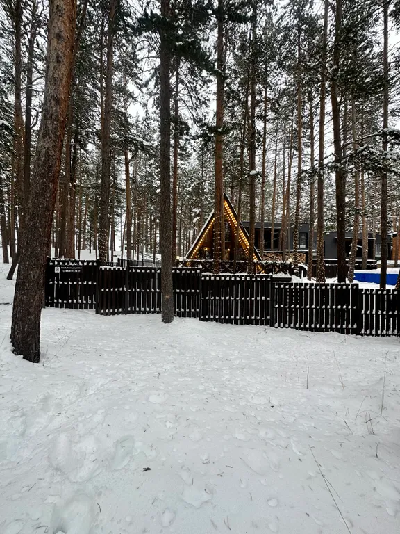 Сказочный дом в лесу с видом на горы