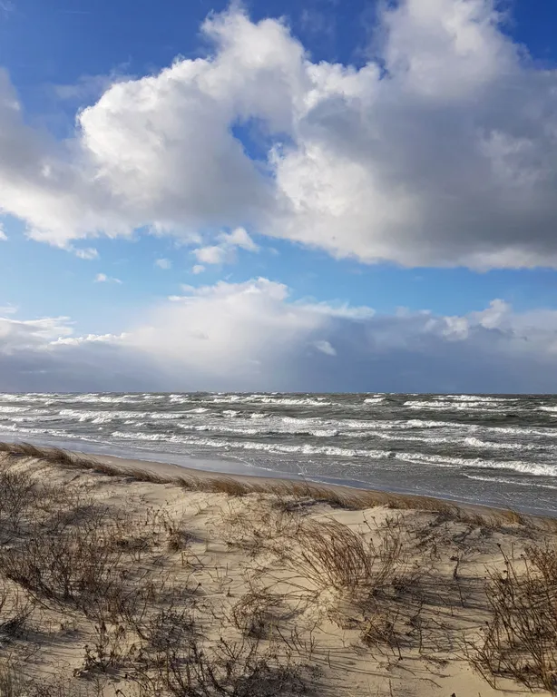 Уютная квартира в 5-ти минутах от моря