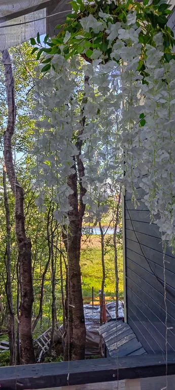 Уютный дом у Светланы Алешиной