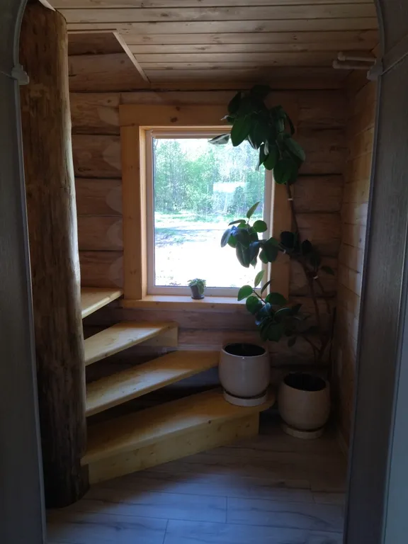 Дом в лесу среди сосен