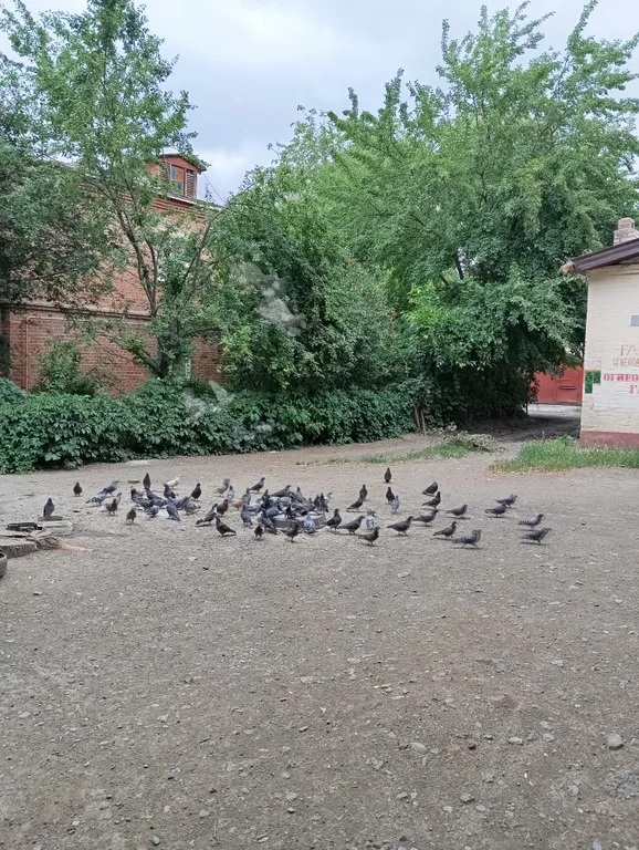 Уютная студия в тихом районе