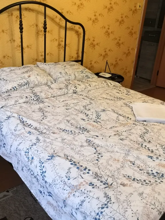 1-ая квартира в центре города