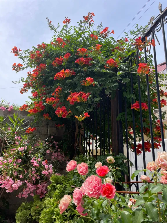 Уютные апартаменты на втором этаже в частном доме