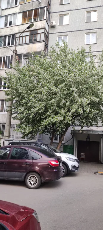 Уютная квартира после капитального ремонта с новой мебелью