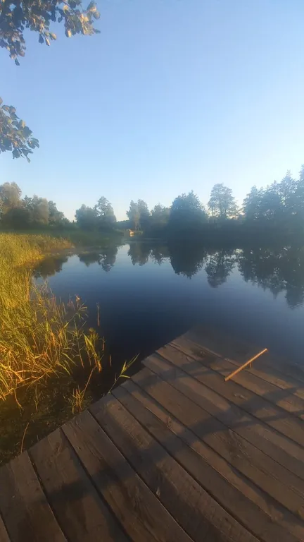 Дом с камином, бассейном, баней и джакузи