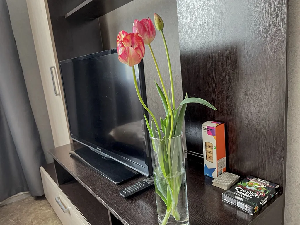 Уютная квартира с видом на лес