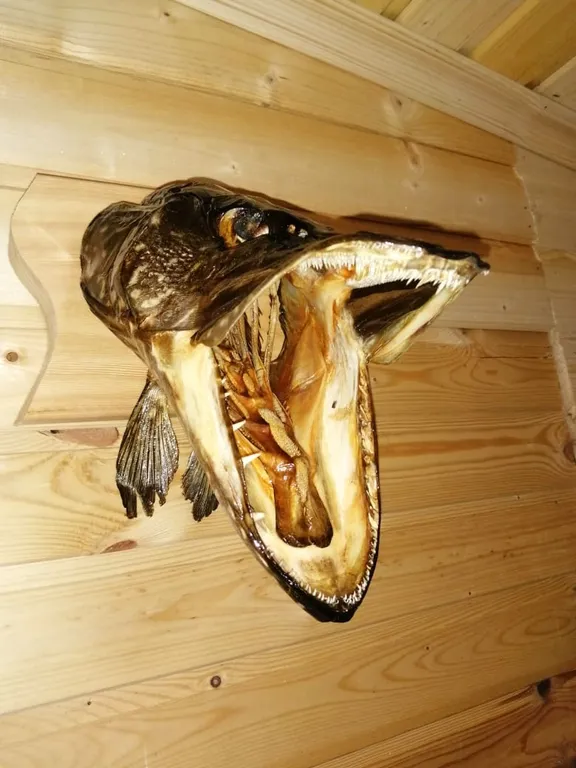 Коттедж Дом на Селигере с причалом — Могилево