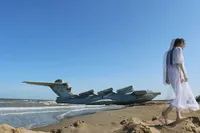 Алсида