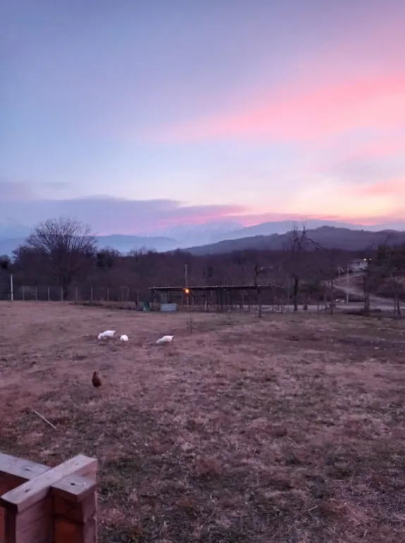 Эко-домик в предгорье