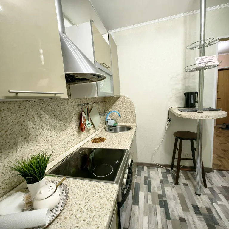 Квартира Люкс рядом с парком