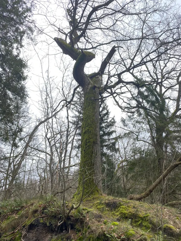 Квартира рядом с морем