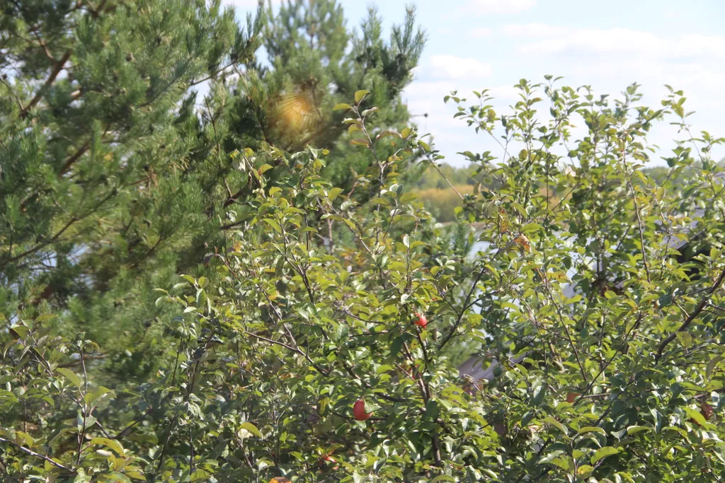 Коттедж Гостевой дом у озера — Казань