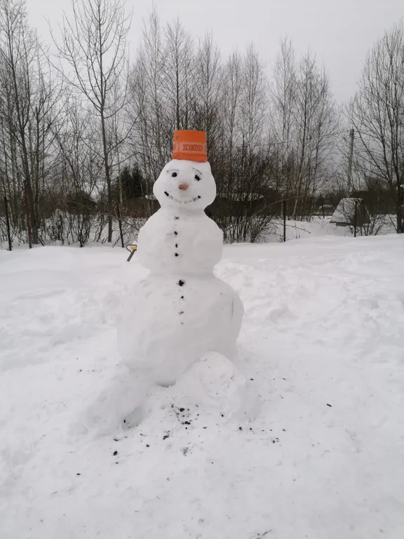 Дом в деревне с баней на дровах