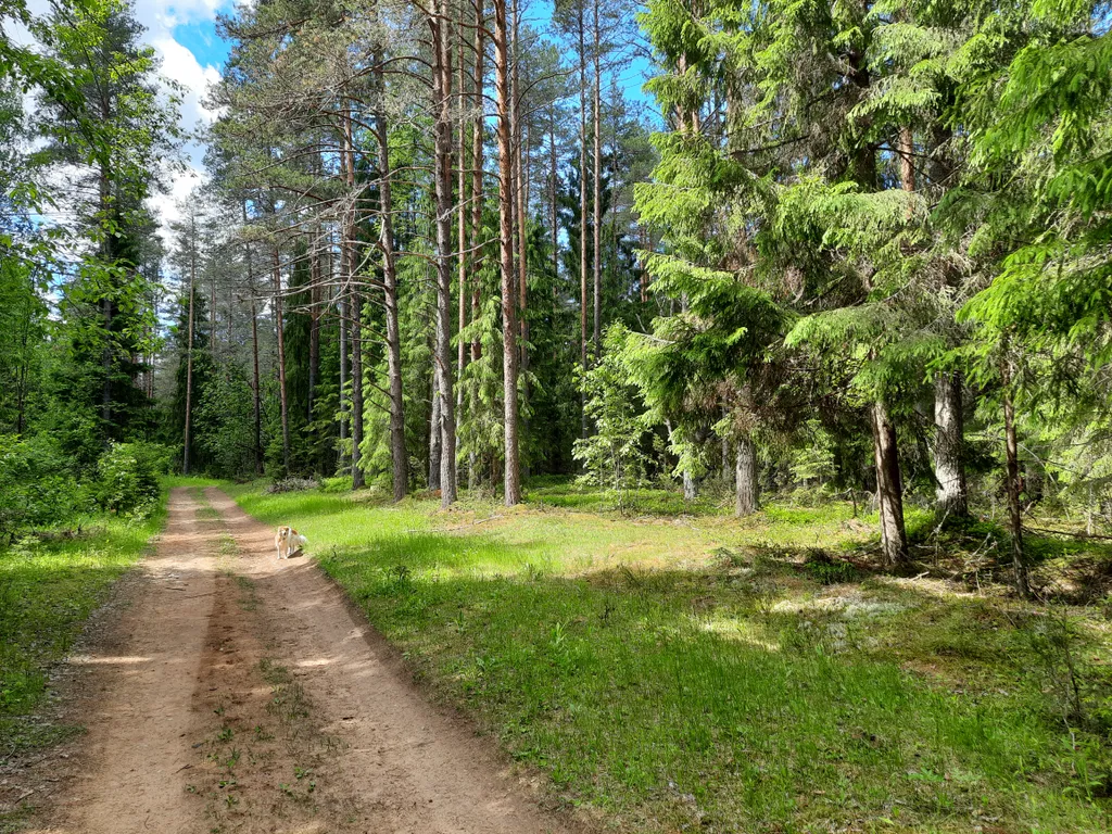 Домик с видом на озеро