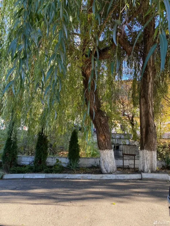 Домик у речки