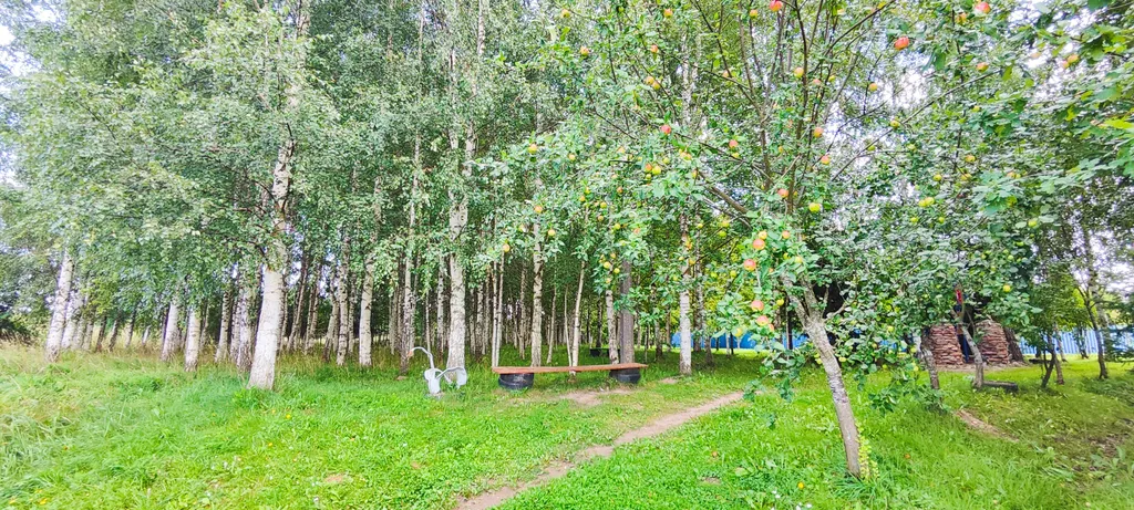 Уединенная дача с прудом и баней у Псковского озера