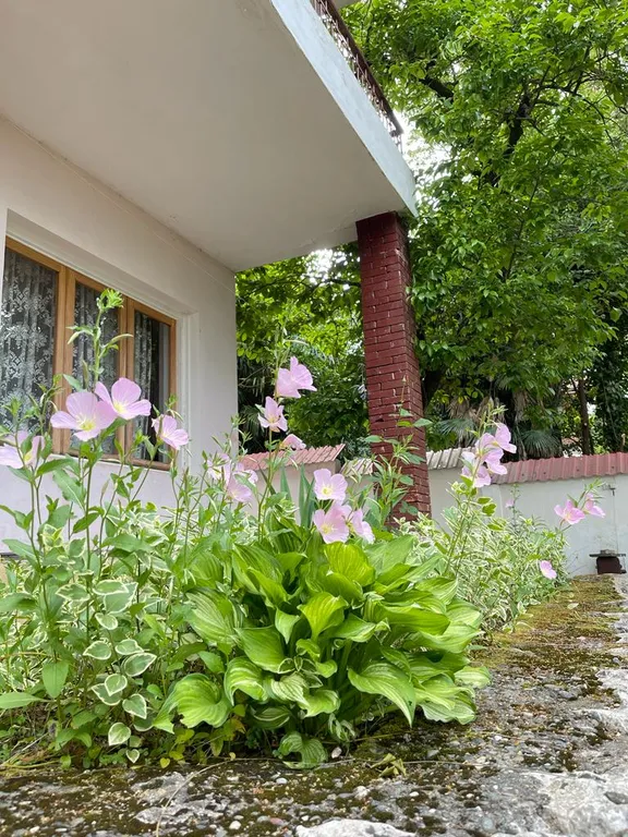 Дом под ключ