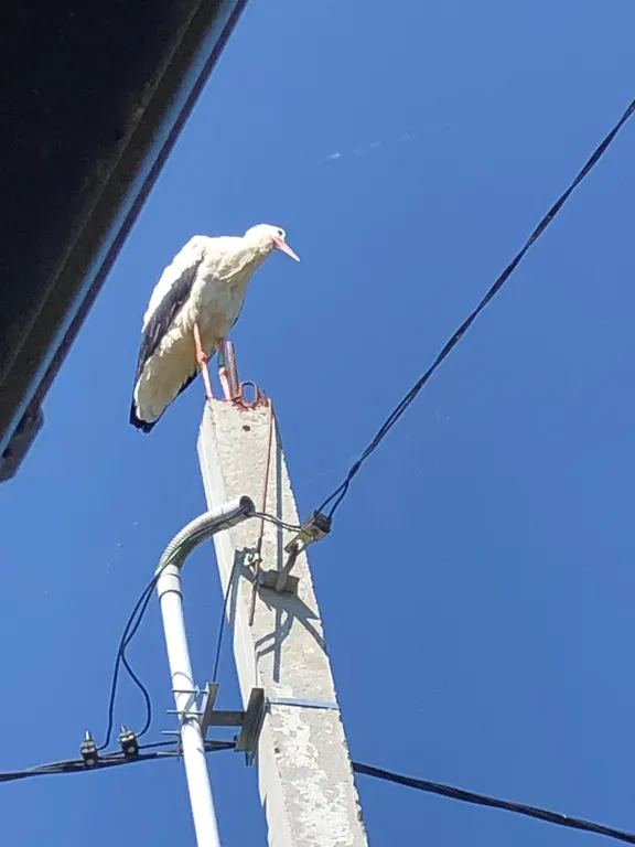 Усадьба Царское село