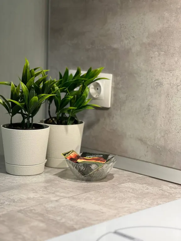 Апартаменты Магия