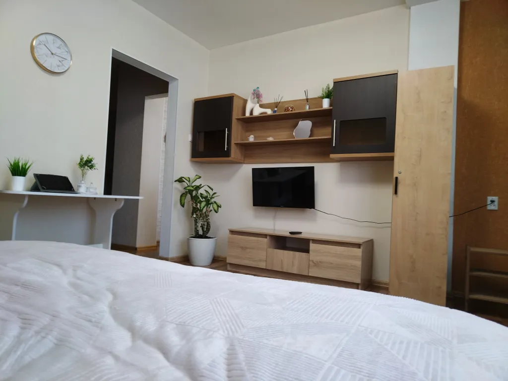 Квартира Квартира Rubanova home просторная однокомнатная олива метро речной вокзал — Новосибирск