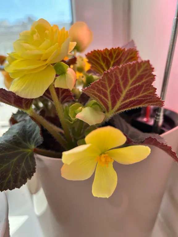 Просторная квартира в историческом центре города