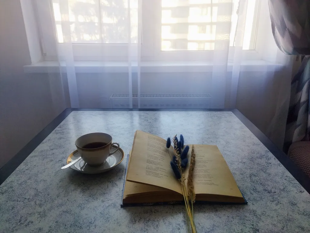 Апартаменты Читальный зал