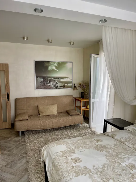 Большая однокомнатная квартира в центре города