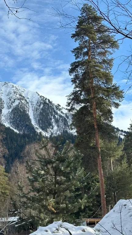 Коттедж Коттедж с видом на горы и лес — Архыз
