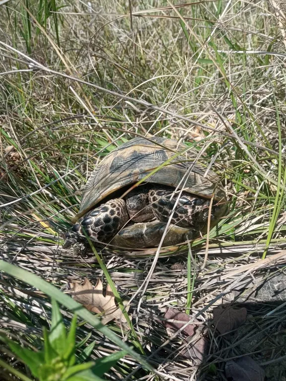 Квартира-студия в Холидей Хаус