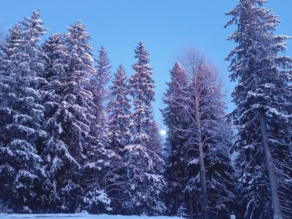 Домик на горе Конткансенмяки