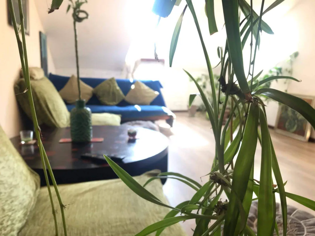 Арт-апартамент в центре города