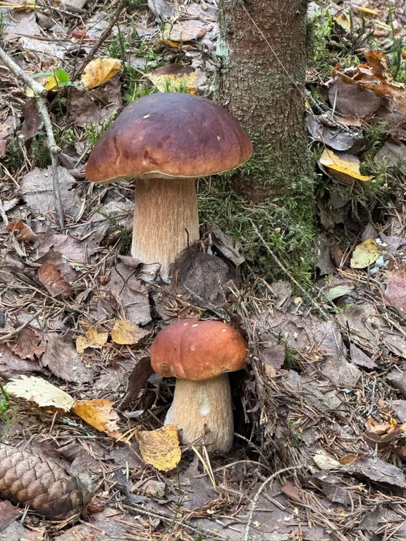 Коттедж Дом на озере Александровское — Рябово