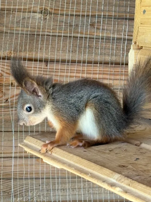 Дом у озера с банным чаном и русской баней
