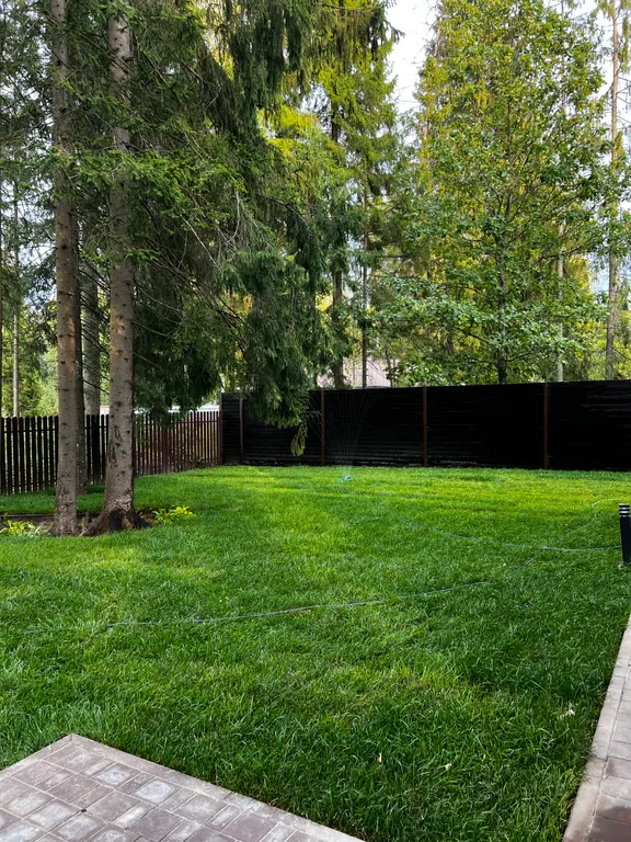 Просторный дом с камином в сосновом лесу