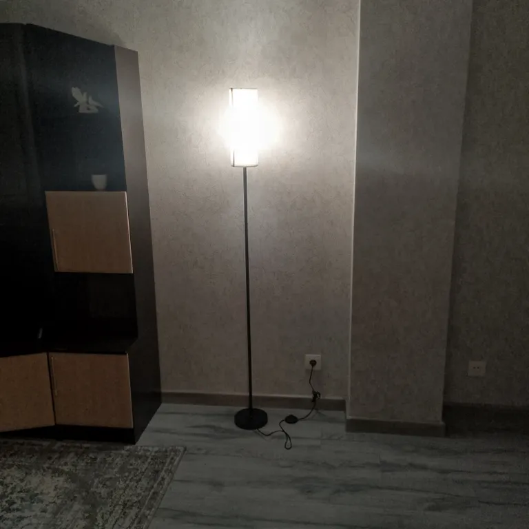 Уютная однокомнатная квартира в центре