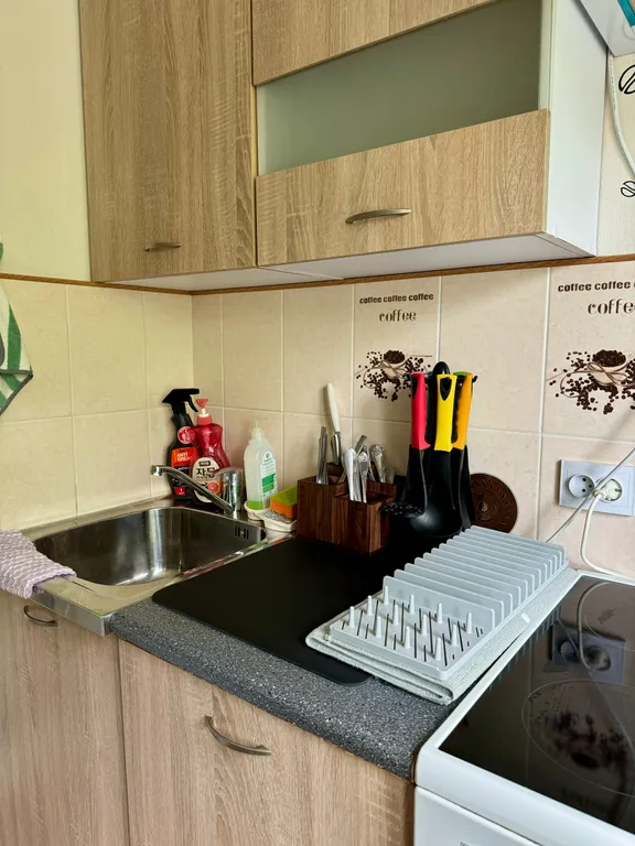 Комфортная однушечка в районе Горного воздуха