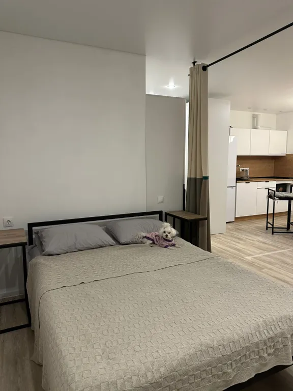 Квартира Уютная студия рядом с центром города — аренда посуточно в Горно-Алтайск