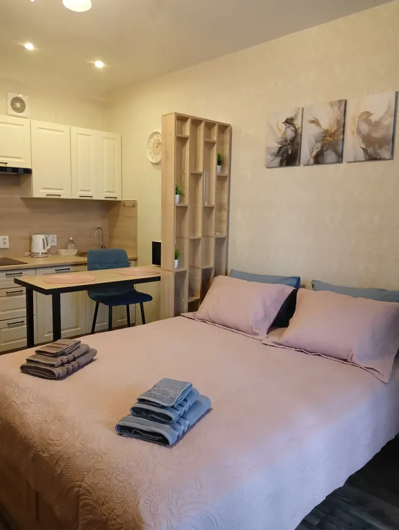 Уютная студия в ЖК Алые паруса с панорамным видом на реку Волхов