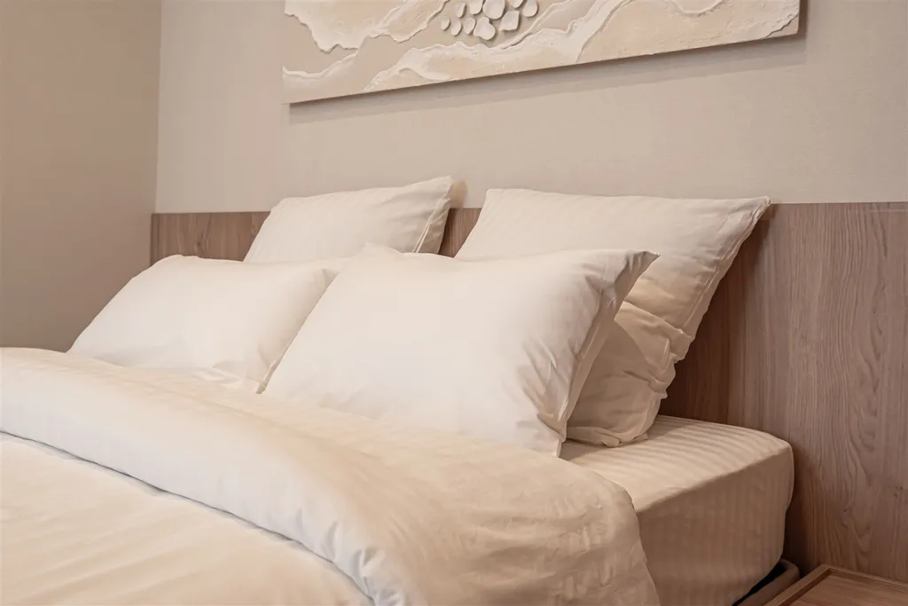 Уникальная квартира Реномэ