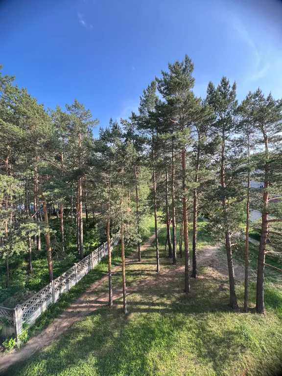 Уютная квартира с видом на лес