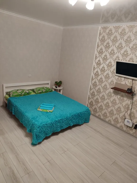 Квартира Уютная квартира в центре города — Барнаул