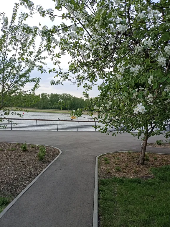 Квартира Квартира Студия Лесная сказка — Красноярск